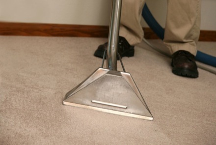 Pet Stain Cleaning Kansas City